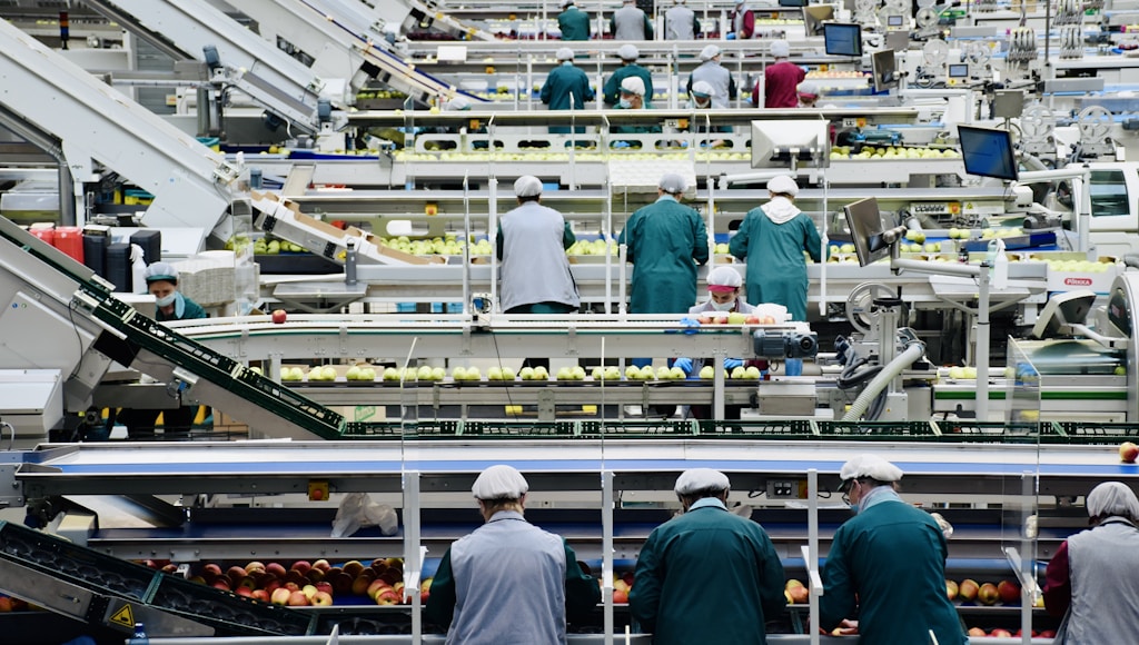 Odoo 19 Fertigung: Echtzeit-Transparenz auf dem Shopfloor ohne Enterprise-Preisschild